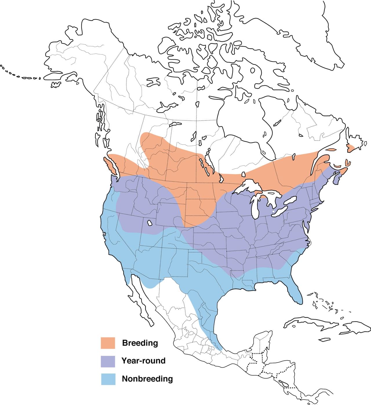 range map