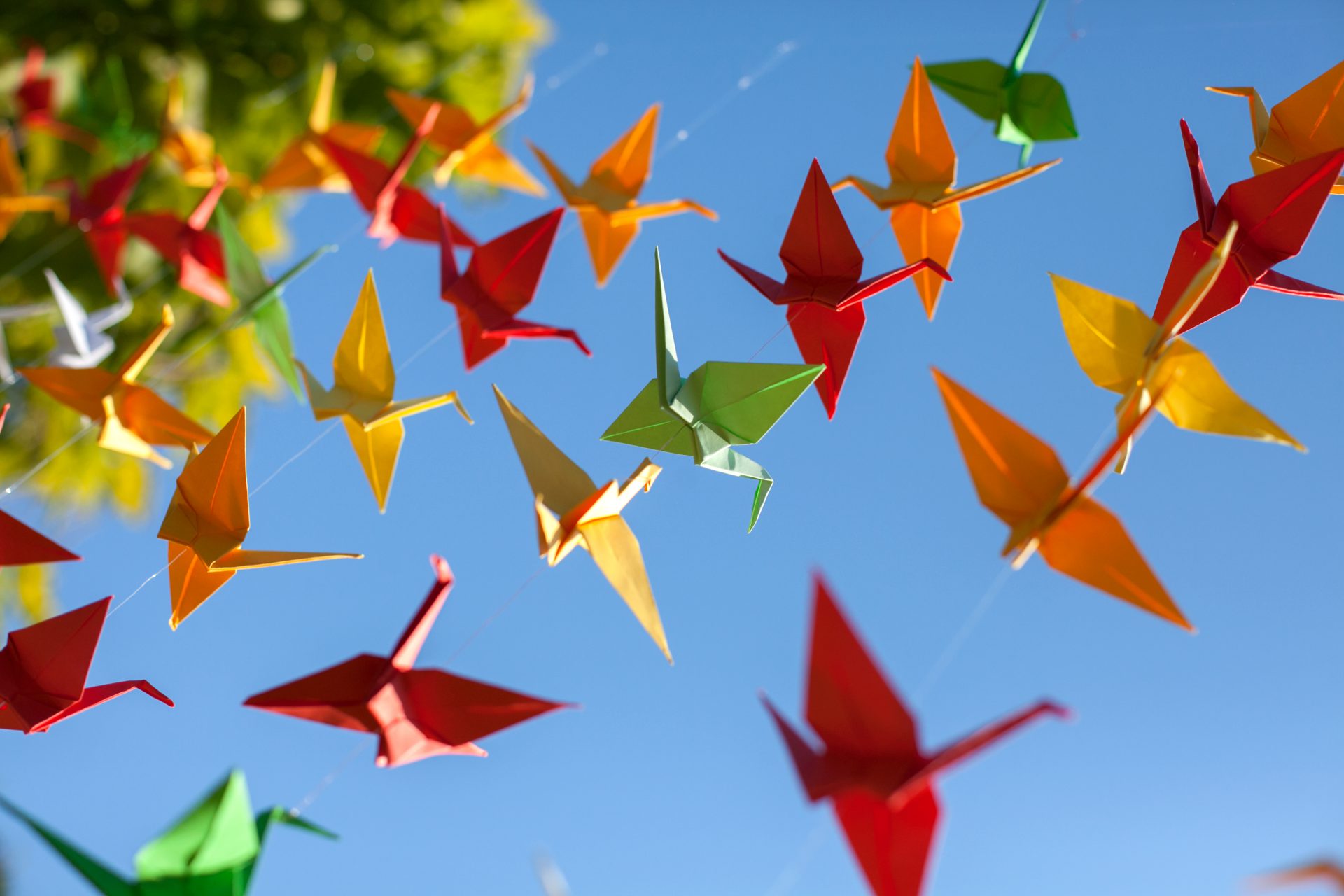 Origami birds