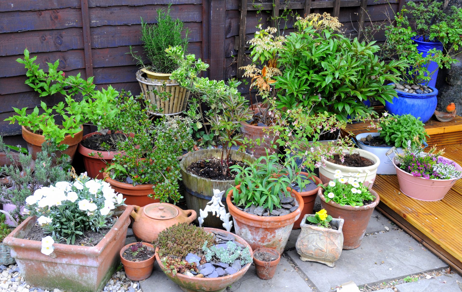 Container Gardening.