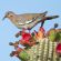 White-winged dove